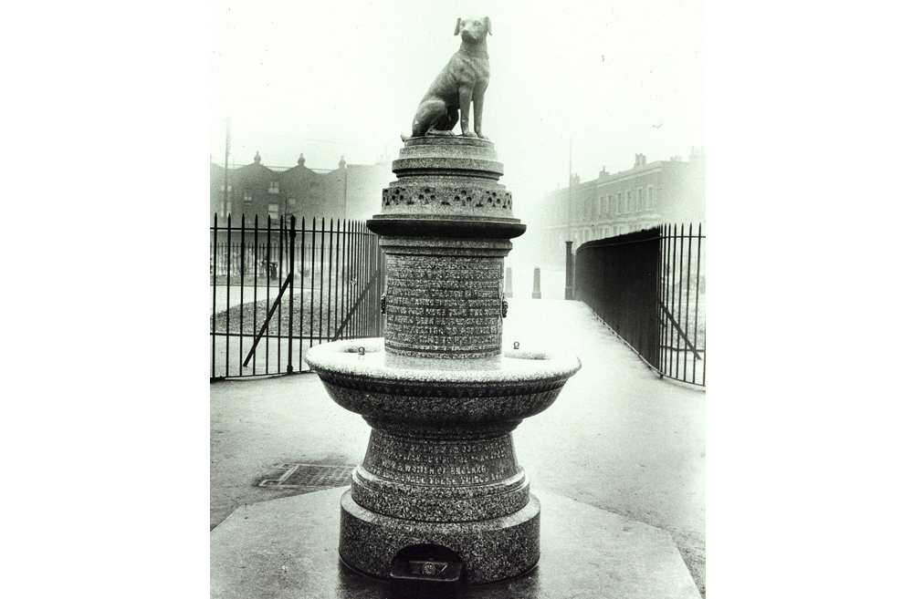 The original brown dog statue in Battersea, London