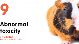Abnormal toxicity with brown and black guinea pig and hashtag #TheRatList