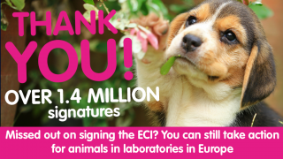 ECI closure graphic
