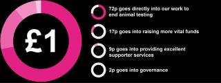 Infographic of how your money is spent