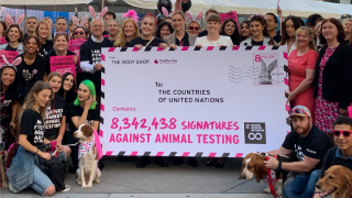 handing in 8 million signatures in support of the FAAT campaign with The Body Shop
